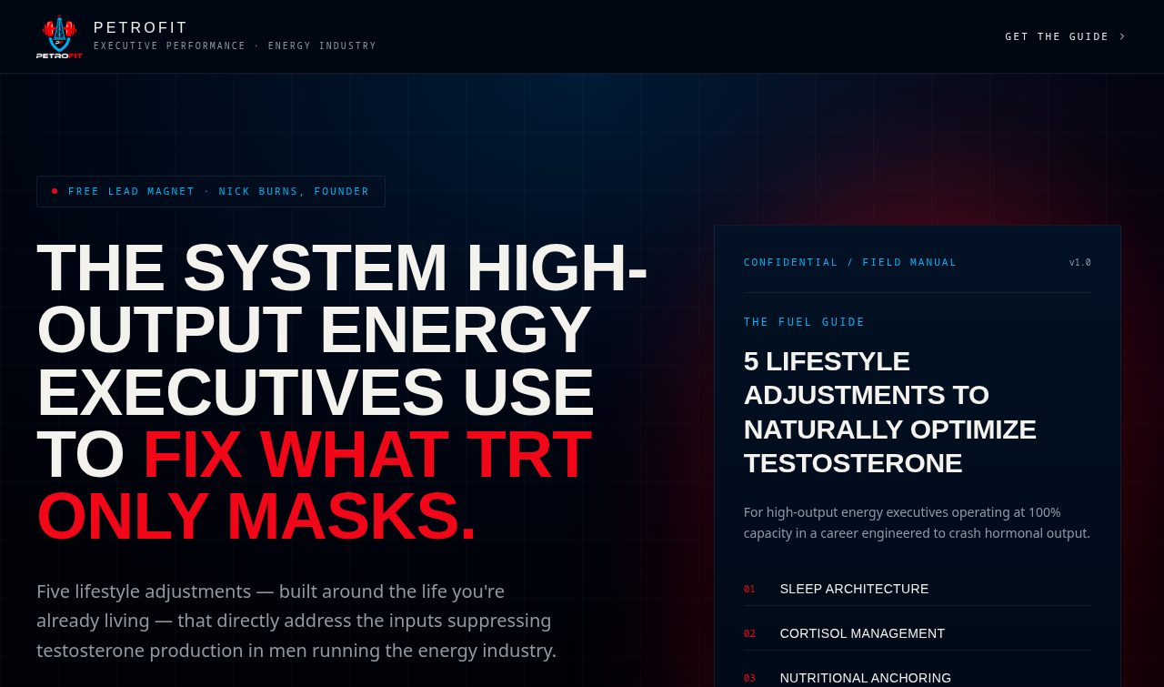The Fuel Guide — Testosterone